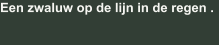 Een zwaluw op de lijn in de regen .
